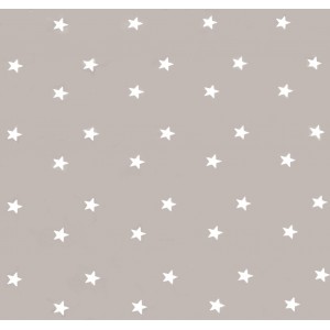 Beige Grey Stars Oilcloths PVC Tablecloths