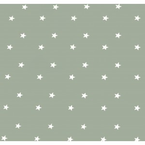 Sage Green Stars Oilcloths PVC Tablecloths