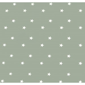 Sage Green Stars Oilcloths PVC Tablecloths